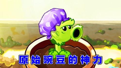 娱乐吃瓜酱豌豆射手,揭秘娱乐圈那些不为人知的幕后故事